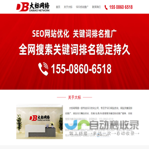 大标网络丨专业SEO优化公司-网站SEO优化-关键词排名推广